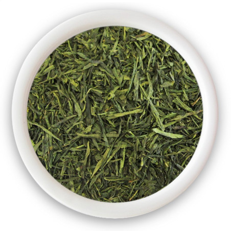 Sencha